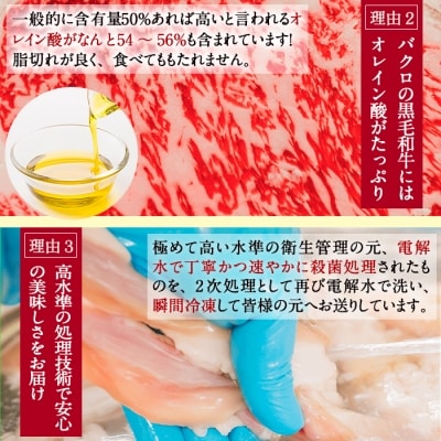 鹿児島県産黒毛和牛ホルモン(丸腸)約700g