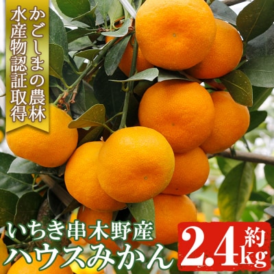 【先行受付!】JAさつま日置農協のハウスみかん 約2.4kg