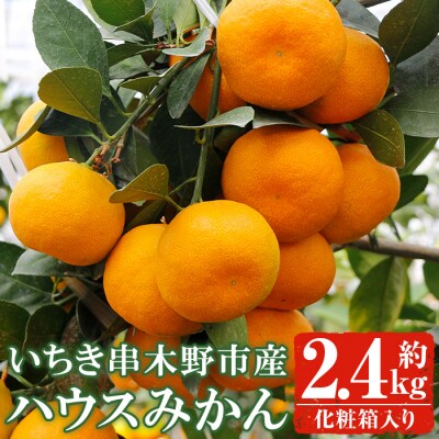 【先行受付!】JAさつま日置農協のハウスみかん 約2.4kg