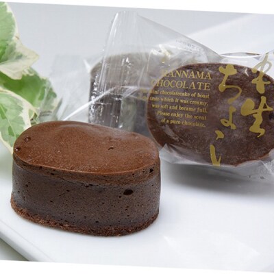 【令和4年お中元対応】ふんわりかるーいチョコレートケーキ♪ 半生ちょこ20個