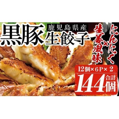 鹿児島黒豚生餃子2種食べ比べセット　計144個　