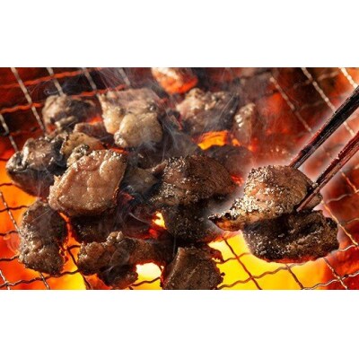 鹿児島県産黒豚炭火焼セット(100g×10P)