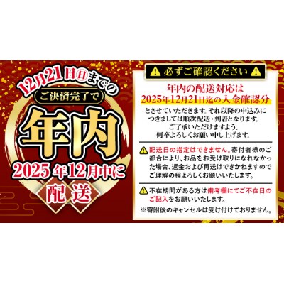 【12/21まで年内配送!】串木野中新さつまあげ9種詰合せ(N-9)