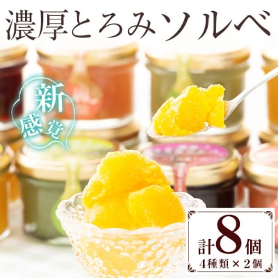 【期間限定】新感覚アイス!”濃厚とろみソルベ”4種のこだわり素材を使用したソルベ詰め合わせ♪
