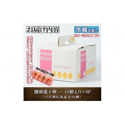 鹿児島県産!健康電子卵(計60個・10個入り×6P)