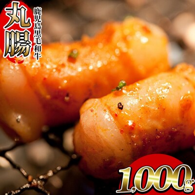 もつ鍋・焼肉にぴったり!黒毛和牛ホルモン(丸腸) 約1kg