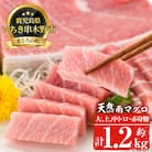 天然南まぐろ上級セット　大トロ～赤身　約1.2kg