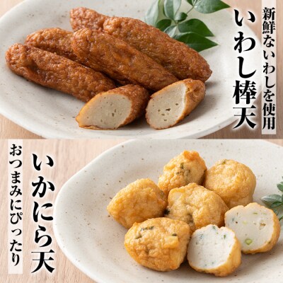 5種のさつま揚げを詰め込んだ”串木野セット2”