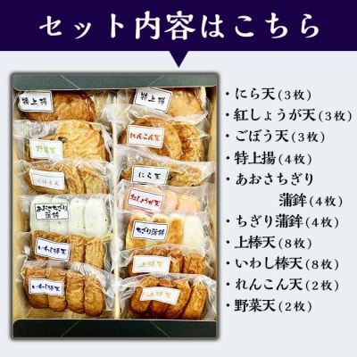 真空個包装! 串木野10種類さつま揚げ詰め合わせ【静寧】【髙浜蒲鉾】