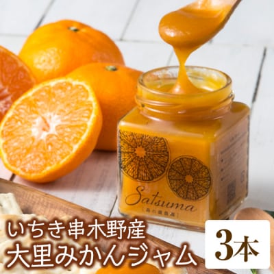 森の蔵農園の鹿児島県産高級みかんジャムSatsuma3本セット