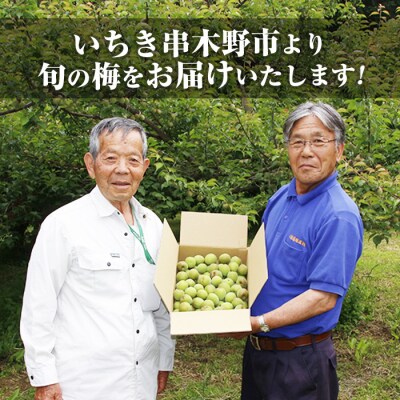 先行受付<数量・期間限定>朝日梅園の南高梅(生梅)3kg 箱 バラ詰め 満杯