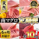 【定期便6回(毎月)】 南マグロ大トロ、中トロ、赤身合計8本を半年間毎月送付 