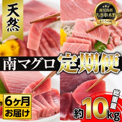 【定期便6回(毎月)】 南マグロ大トロ、中トロ、赤身合計8本を半年間毎月送付 