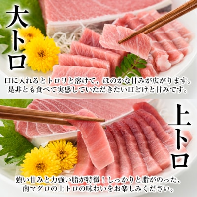 【定期便6回(毎月)】 南マグロ大トロ、中トロ、赤身合計8本を半年間毎月送付 