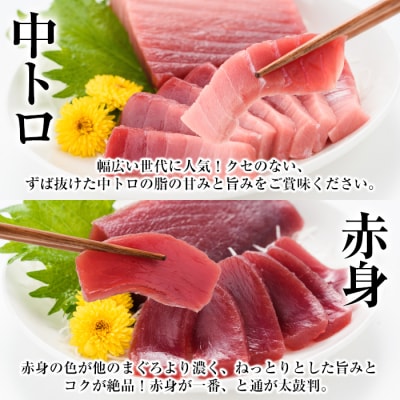 【定期便6回(毎月)】 南マグロ大トロ、中トロ、赤身合計8本を半年間毎月送付 