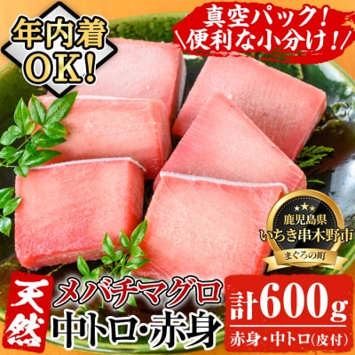【12/24まで年内配送】天然メバチマグロ 600g(中トロ 100g×2赤身 100g×4)