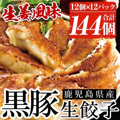 鹿児島黒豚生餃子(生姜風味) 計144個(12個×12P) タレ付き!国産野菜使用!