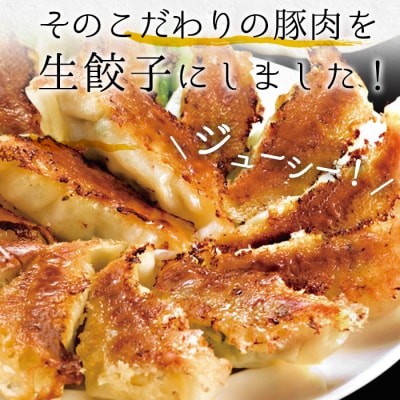 鹿児島黒豚生餃子(生姜風味) 計144個(12個×12P) タレ付き!国産野菜使用!