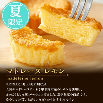 壱おしマドレーヌ プレーン と 季節の マドレーヌ の 2種類 計16個 食べ比べ 個包装