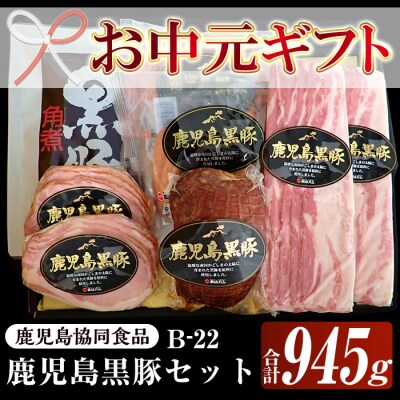 【令和5年お中元対応】鹿児島黒豚ハム5種セット(B-22)