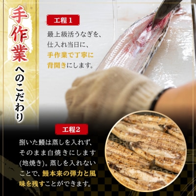 国産うなぎ(鹿児島県産うなぎ)大 白焼 2尾 約320g