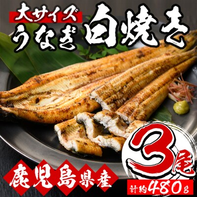 国産うなぎ(鹿児島県産うなぎ)大 白焼き 3尾 約480g