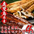 厳選!国産うなぎ蒲焼 2尾と国産うなぎ 白焼き 2尾の食べ比べセット(鹿児島県産うなぎ使用)