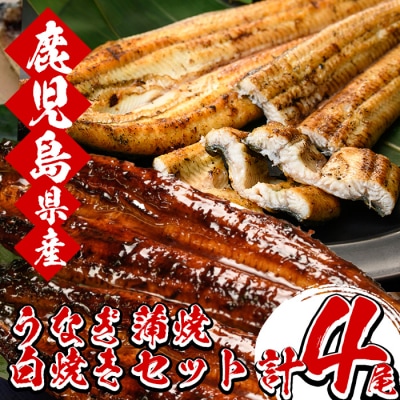 厳選!国産うなぎ蒲焼 2尾と国産うなぎ 白焼き 2尾の食べ比べセット(鹿児島県産うなぎ使用)