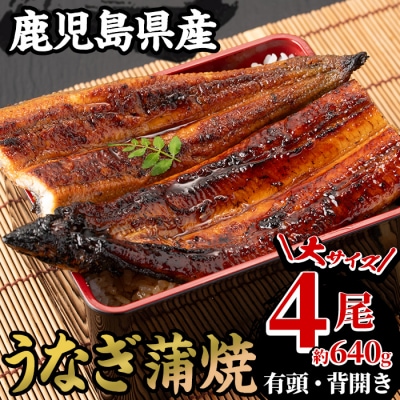 【期間限定】厳選! 国産うなぎ(鹿児島県産うなぎ)蒲焼 大 4尾(約640g)