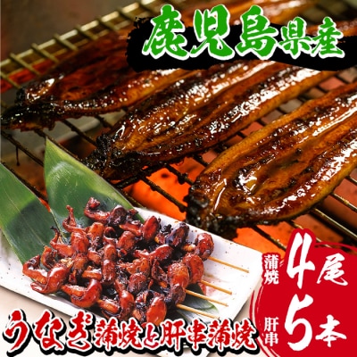 国産うなぎ蒲焼 大 4尾 640g と国産うなぎ 肝串1袋(5本入)(鹿児島県産うなぎ)