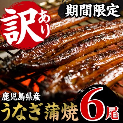 【訳あり】数量限定!厳選!鹿児島県産うなぎ蒲焼 計6尾