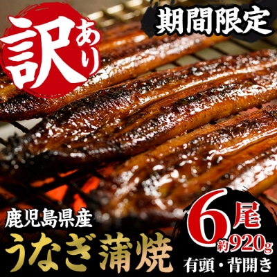 【訳あり】国産うなぎ(鹿児島県産うなぎ)蒲焼 6尾(約920g超え)【60日以内配送】