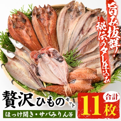 贅沢ひものセット　サバやホッケなど合計11枚!