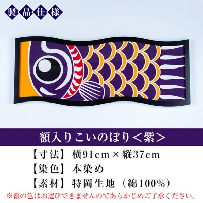 額入りこいのぼり【紫色】