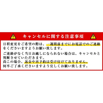 伝統工芸を身近に!ミニ大漁旗の染め体験♪白色の大漁旗に自由に色を塗れます!【亀崎染工】