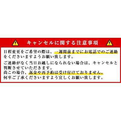伝統工芸を身近に!ミニ大漁旗の染め体験♪白色の大漁旗に自由に色を塗れます!【亀崎染工】