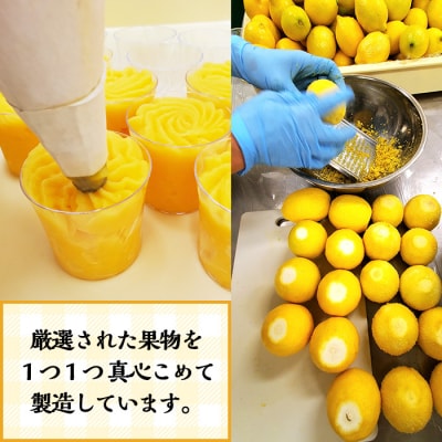 先行受付<数量・期間限定>9種の手作りフルーツシャーベット12個セット