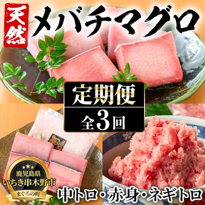 【3か月定期便】天然メバチマグロ!中トロ・赤身・ネギトロ(総量1.8kg)
