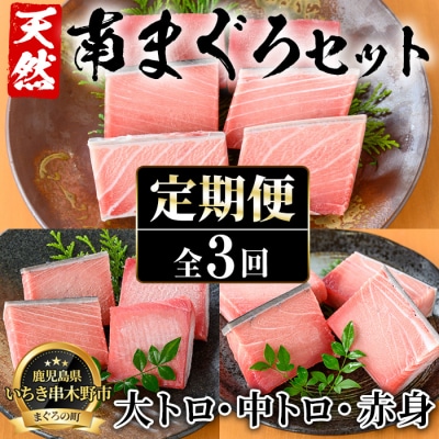 【3か月定期便】極上天然南まぐろ贅沢コース