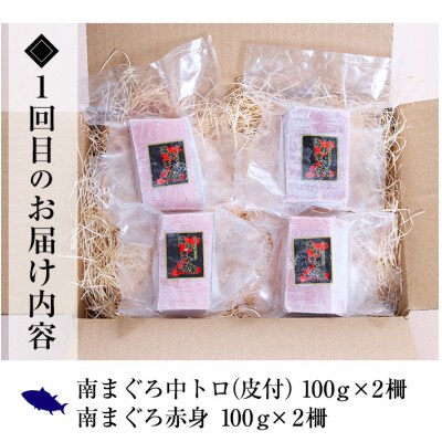 【3か月定期便】極上天然南まぐろ贅沢コース