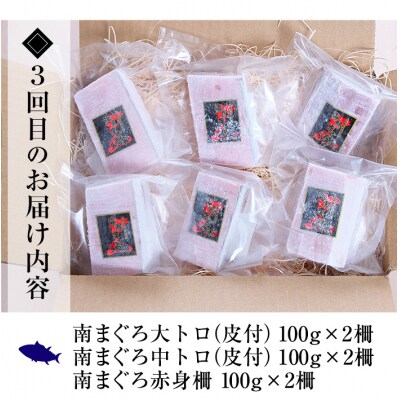 【3か月定期便】極上天然南まぐろ贅沢コース