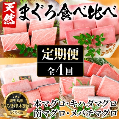 【4か月定期便】厳選!4種の天然まぐろを食べ比べ!