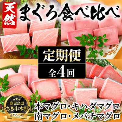 【4か月定期便】厳選!4種の天然まぐろを食べ比べ!