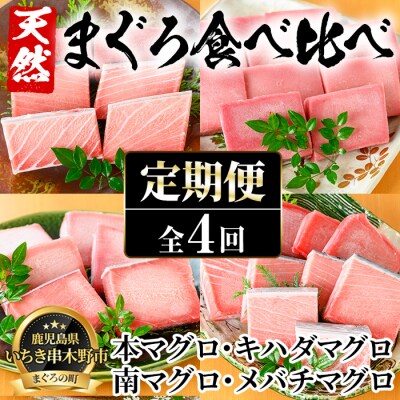 【4か月定期便】厳選!4種の天然まぐろを食べ比べ!
