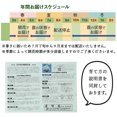 【個数限定】寿峰苑特選えびね蘭　店主おすすめEコース