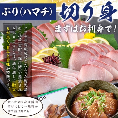 鹿児島県産養殖ぶり(ハマチ)の切り身「ロイン4節・カマ2個付」合計約2kg!