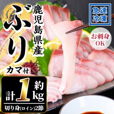鹿児島県産養殖ぶり(ハマチ)の切り身「ロイン2節・カマ1個付」合計約1kg!