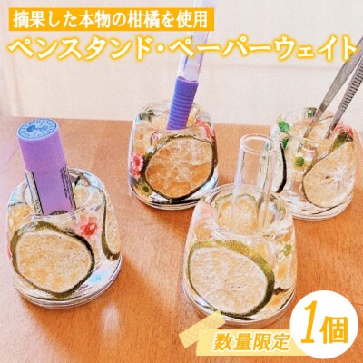 【数量限定】摘果柑橘を有効活用したペンスタンド・ペーパーウェイト(1個)