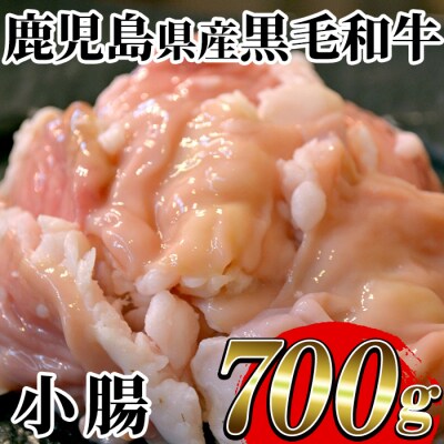 鹿児島県産黒毛和牛小腸700g
