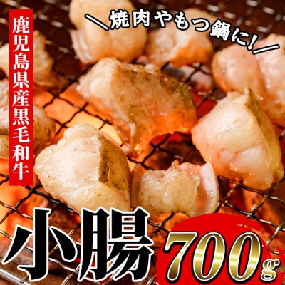 鹿児島県産黒毛和牛 小腸(ホルモン)700g